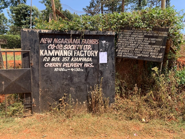 Kenya: Kamwangi Peaberry