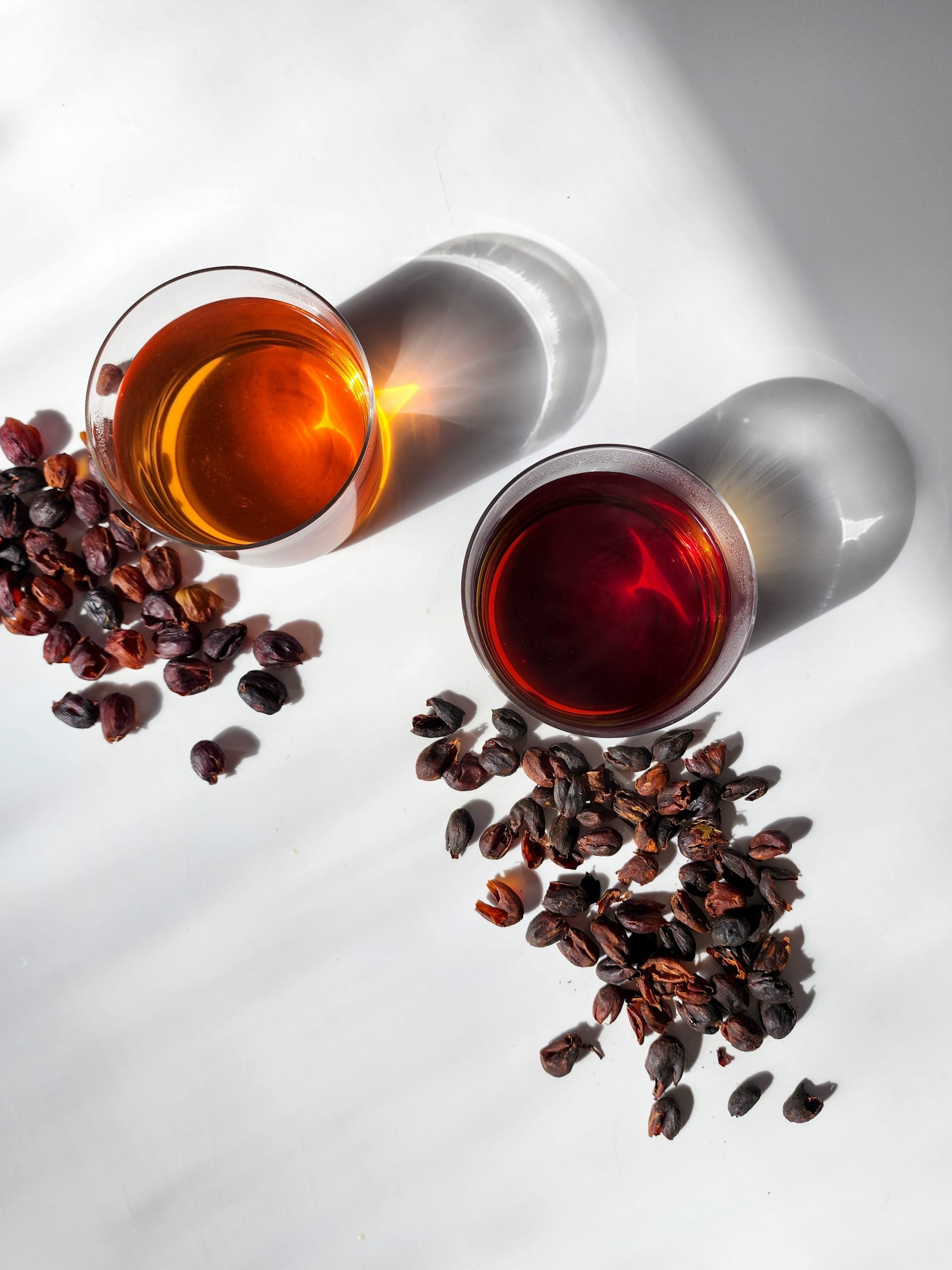 Costa Rican Coffee Cascara from Radio Roasters Coffee