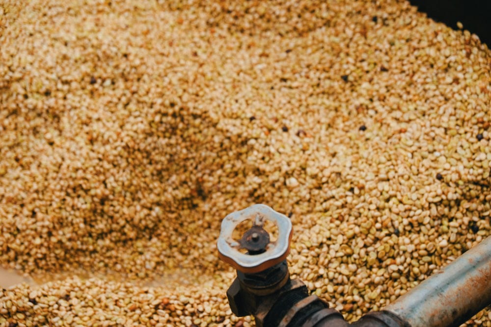 Ethiopian Ethiopiques Washed Whole Bean Coffee from Radio Roasters Coffee