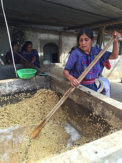 Radio Roasters Coffee Coffee Guatemala: Todos Santos