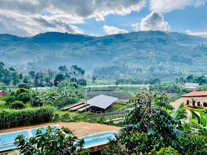 Rwanda Kinini Bourbon Speciality Coffee - Radio Roasters Coffee 