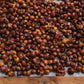 Costa Rican Cascara Whole Bean Coffee from Radio Roasters Coffee