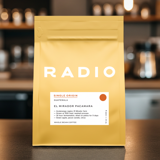 Whole Bean Single Origin Coffee Guatemala Pacamara